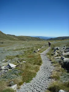 Walking along the Main Range Track