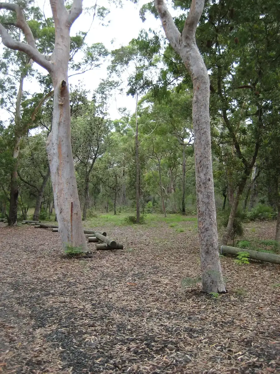 Bombah Broadwater: Boomeri