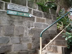 climbing the steps