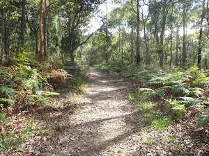 Kanning Walk