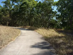 Concrete footpath in Green Point Reserve