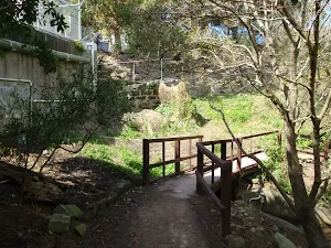 Bridge behind Little Sirius Cove