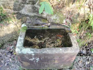 Jersey Spring