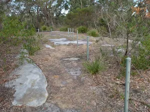 Along the fence at the picnic area