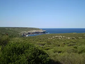 The track goes through the scrub following the coast