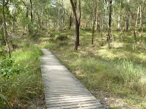 Timber boardwalk in Green Point Reserve
