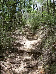 Track over spur to Gerrin Point