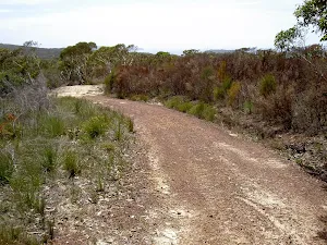 Mackerel service trail