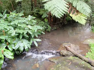 Small Cascade on creek