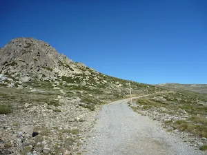 The old road near Seamans Hut