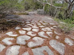 Tessellated Pavement