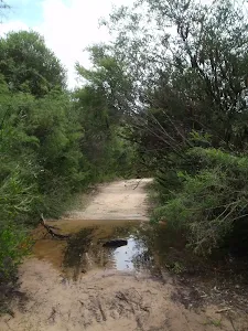 Cascades Track