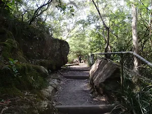 Reids Plateau track west of Cliff side lookout