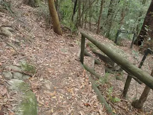 Toomeys Walk