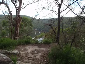 On Mt Ku-ring-gai track above Berowra track
