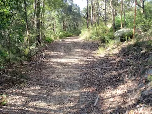 Uphill on the split rock management trail