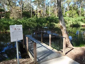 Viewing platform at the Lakes of Cherrybrook