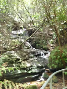Lila Falls