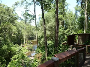Blackbutt Reserve