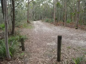 Intersection just south of Erina Trig