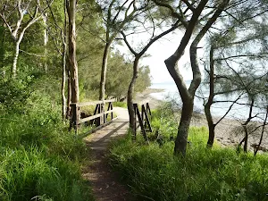 Timber bridge by Lake Macquarie in Green Point Reserve