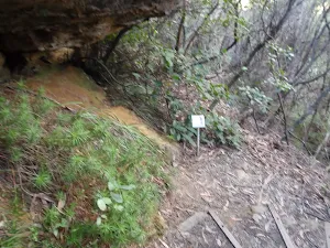 Sign below overhang