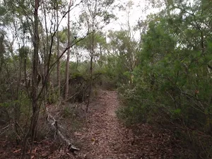 Track to Gibberagong Lookout
