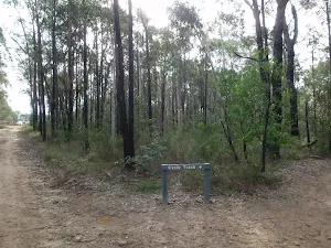 Oaks Cycleway intersection
