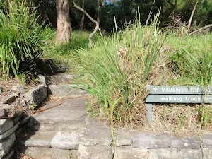 Steps leading to Mt Trefle from Greycliffe House