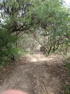 Gordon Falls Lookout track