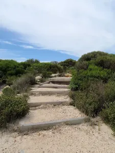 Stairs on the Coast Track