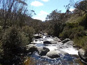 looking down stream from the bridge