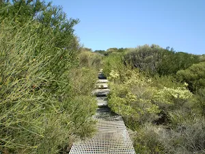 Metal board walk