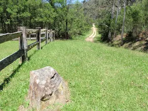 Dubbo Gully and Ten Mile Hollow Circuit (via Clares Bridge) 