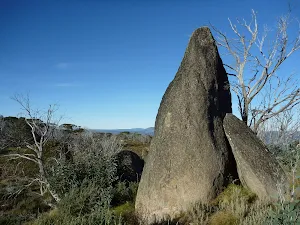 Bob's Ridge