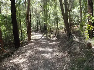 Blue Hill trail