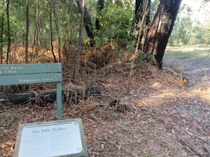 Signs at Ten Mile Hollow Campsite