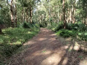 following the dirt roads