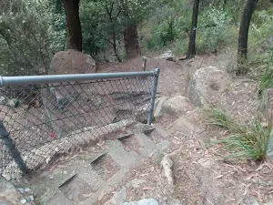 steps down into Galston Gorge