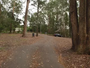 Car park at Katandra Rd Picnic area