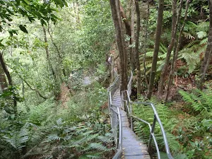 Railed boardwalk along Dardenelles Pass