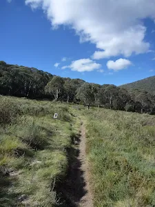 Walking along the lower Bridle trail