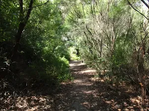Following the Flat Rock Track