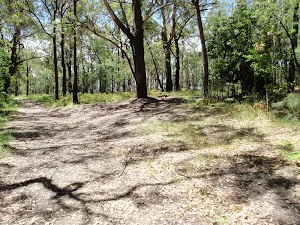 By-pass trail on Sid Pulsford Walking trail