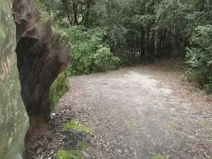Clearing along the track