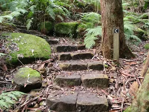 Rail to River Walk