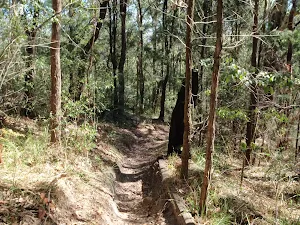 Glasson's Trail on eastern side of road