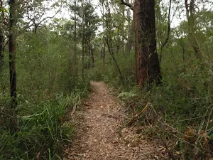 Mouat walk track