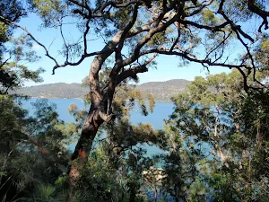 Water view from Pacific Trail