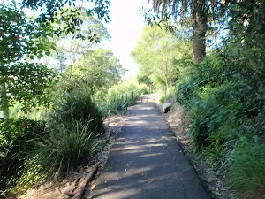 footpath leading through Cremorne Reserve